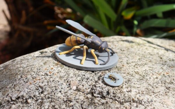 3D-Printed Insects Help Scientists Map the Limits of Mimicry in Nature
