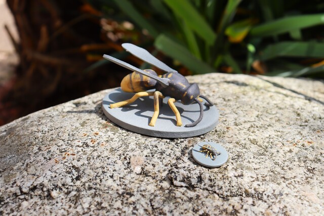 3D-Printed Insects Help Scientists Map the Limits of Mimicry in Nature