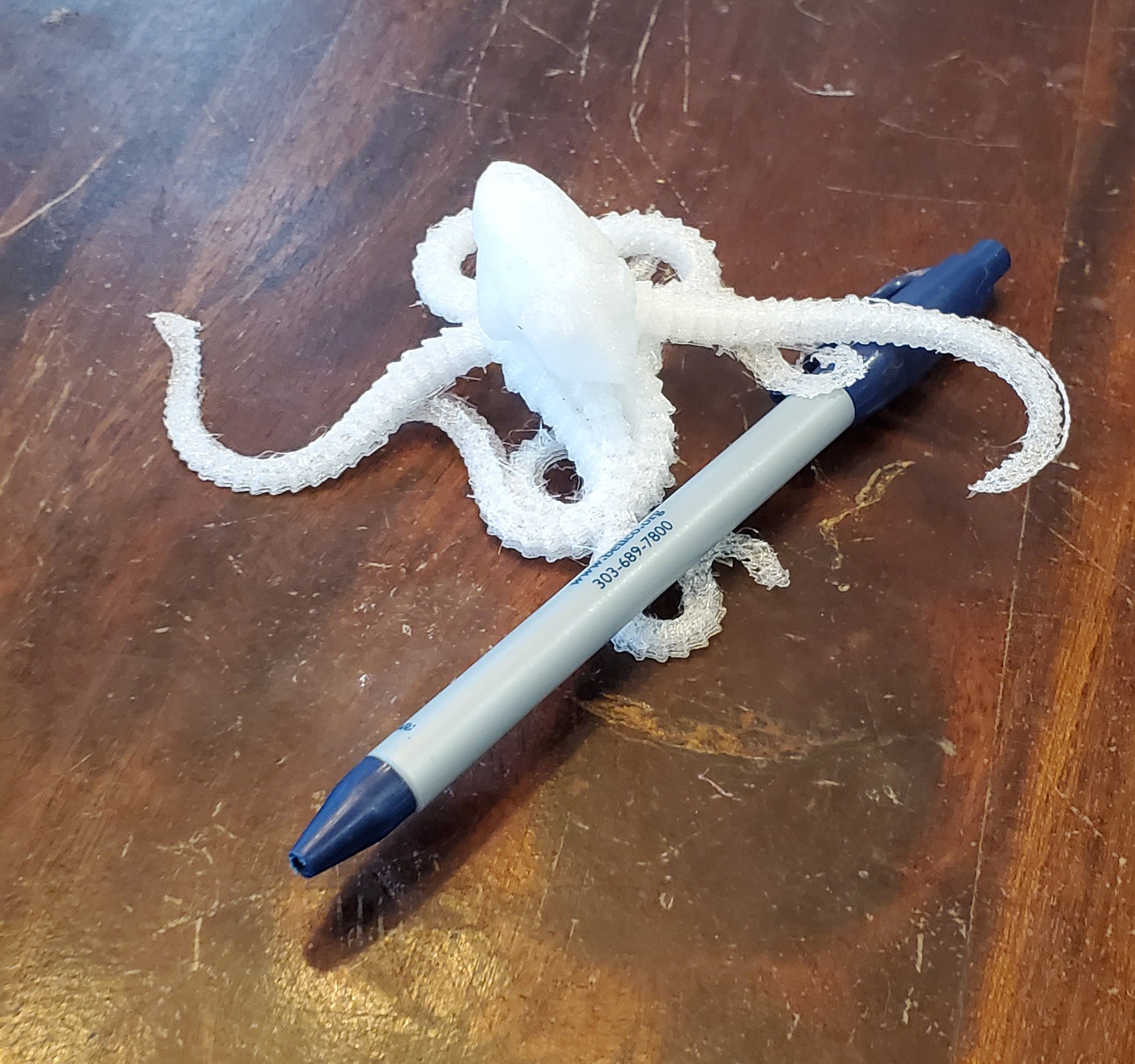 octopus