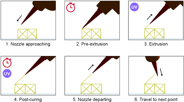 Steps for printing
