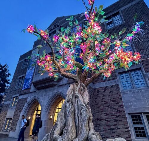 Tech-Infused Tree Brightens University of Washington Campus