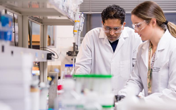 Researchers 3D Print Hair Follicles in Lab-Grown Skin