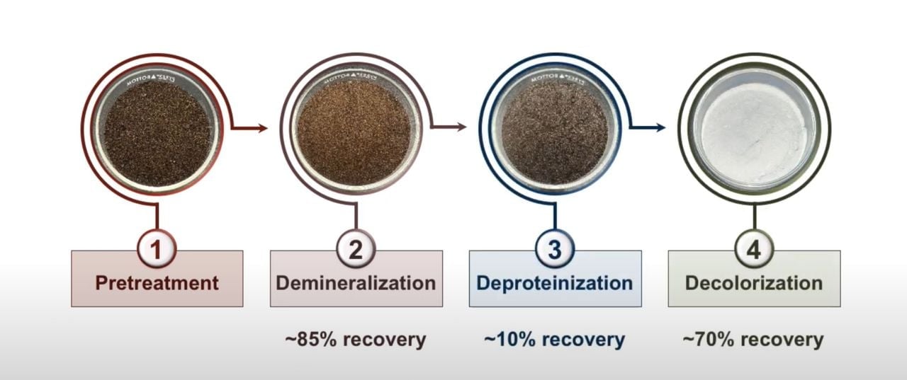 Process for extracting chitin from dead flies