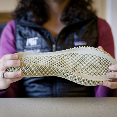 MIT Develops Model for Optimizing 3D Printed Shoe Performance