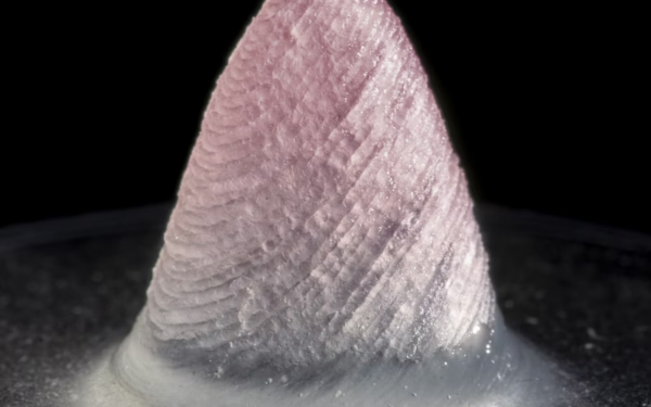 Researchers 3D Print Beating Heart Ventricle