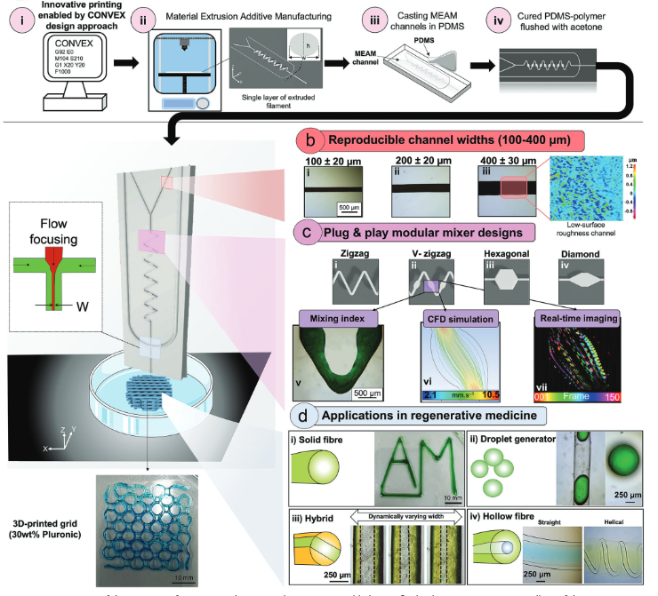 Researchers Develop New Pipeline for Rapidly Printing Organs
