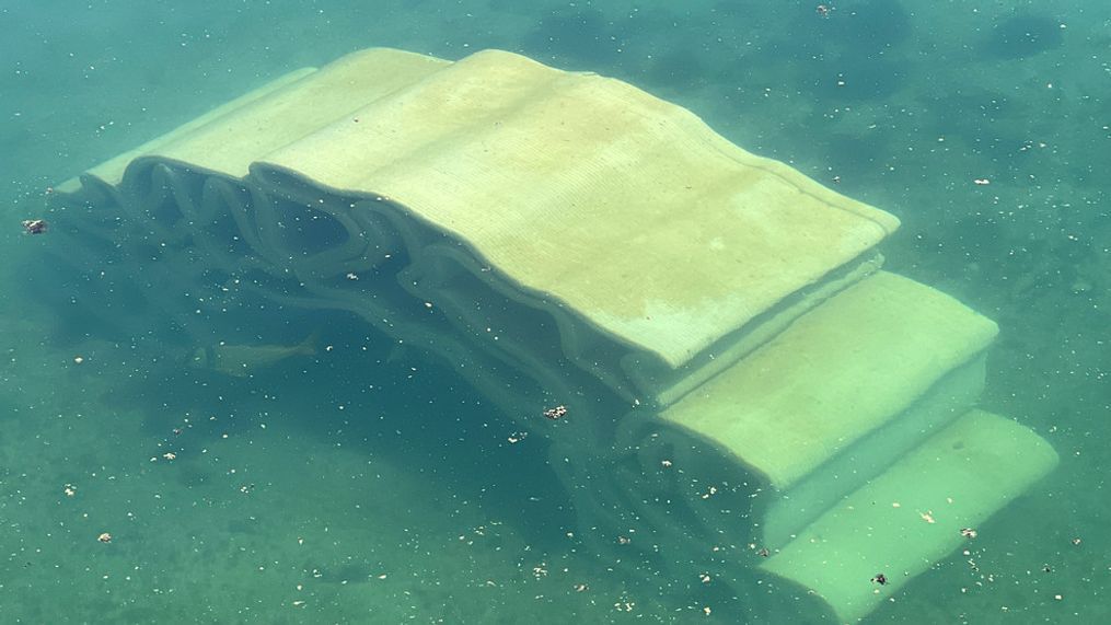 3D Printed Coral Laid Down in Florida Waters