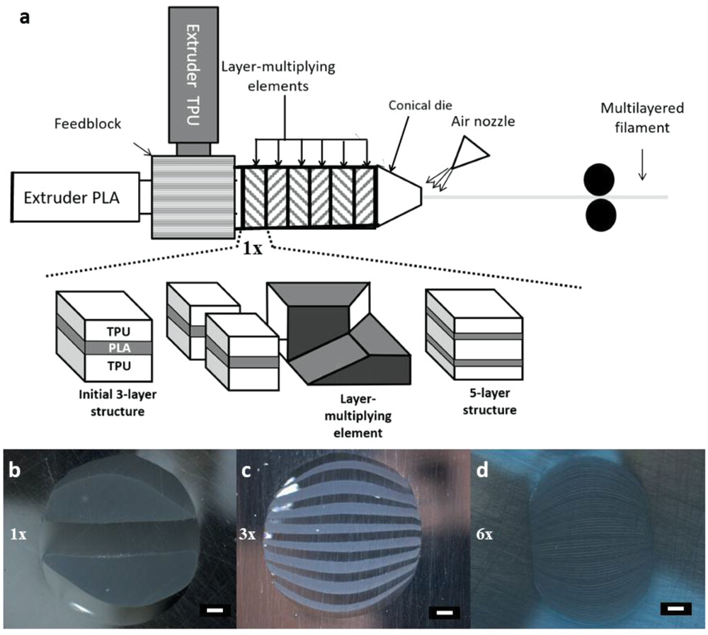 New 3D Printing Method Combines PLA and TPU for Tissue Scaffolds
