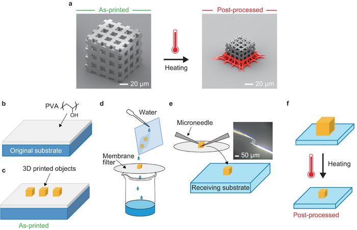 SUTD Develops New Technique for Precise Shrinkage in 3D Printing