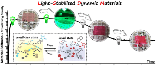 Dynamic Materials Allow For Light-sensitive Support Scaffolds