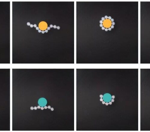 Researchers Develop 3D-Printed Robot System Capable of Collective Behavior