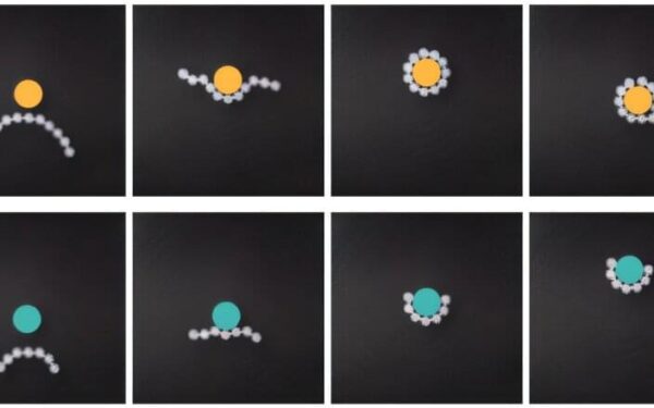 Researchers Develop 3D-Printed Robot System Capable of Collective Behavior