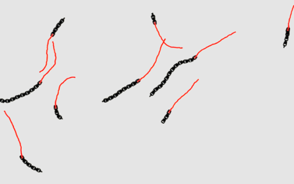 Leiden Researchers 3D Print Brainless Microrobots That Swim and Dodge Obstacles Like Living Animals