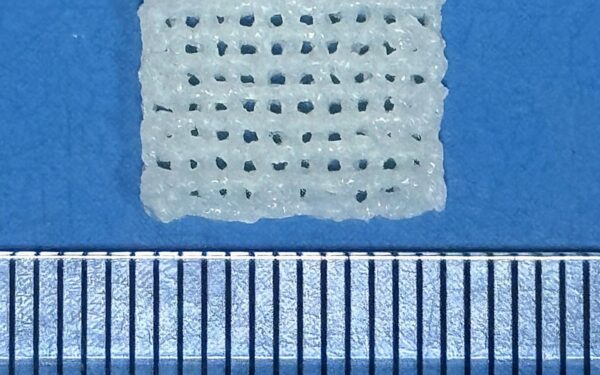 NTU Researchers 3D Print a Bone Scaffold Timed to How Injuries Heal