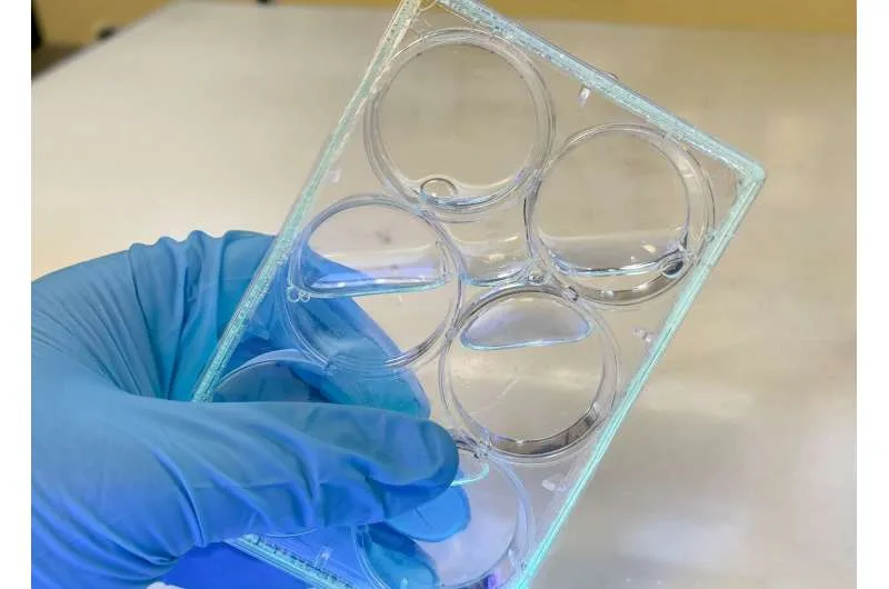 Handheld UV light curing a form-in-place gasket into a watertight seal