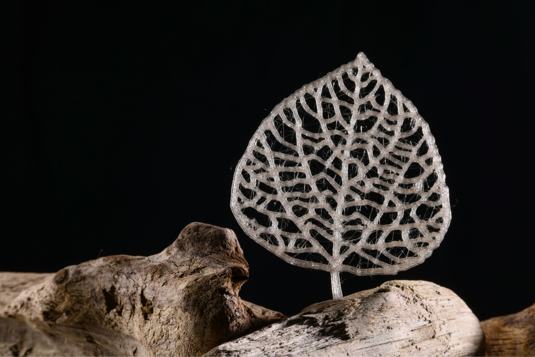 3D printed bioplastic leaf