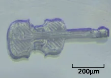 A tiny guitar shape under a microscope with a 200μm scale bar