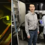 Notre Dame researchers 3D print blood capillaries smaller than a human hair