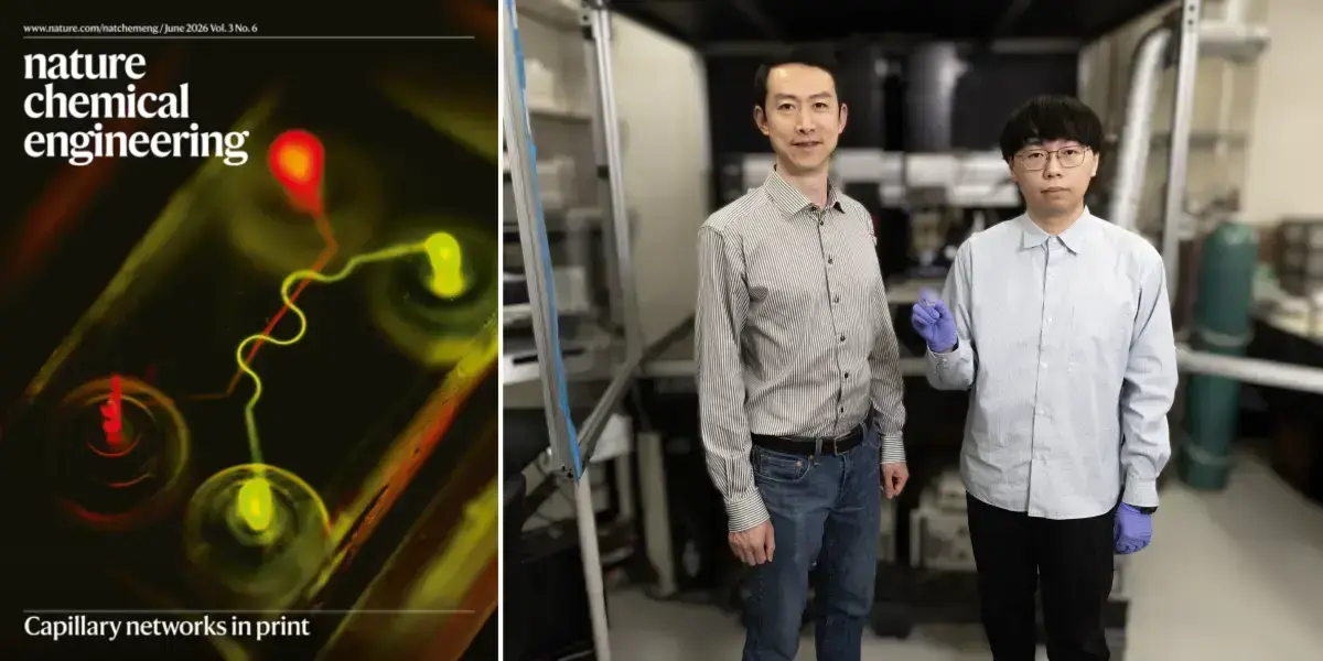 Notre Dame researchers 3D print blood capillaries smaller than a human hair